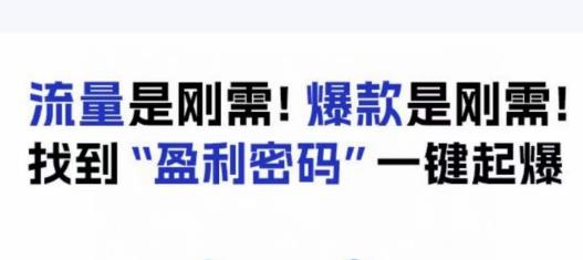 电商盈利精品课：6大盈利密码让产品更好卖，流量是刚需！爆款是刚需！找到”盈利密码”一键起爆-88共享