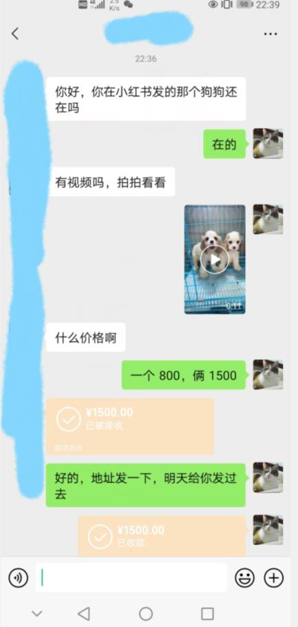外边收费3980的同城萌宠项目，用最冷门的玩法冲击最热门的市场【揭秘】-88共享