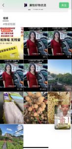 外面收费198的最新视频号连怼技术，条条原创，条条爆单【揭秘】-88共享