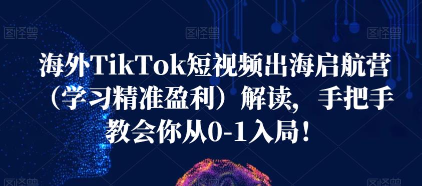 海外TikTok短视频出海启航营（学习精准盈利）解读，手把手教会你从0-1入局！-88共享