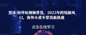黑冰·海外短视频带货,2023年跨境新风口,海外小黄车带货新机遇-88共享