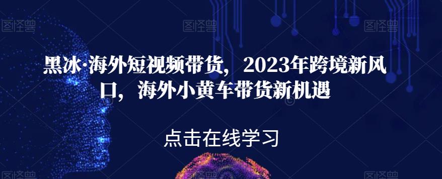 黑冰·海外短视频带货，2023年跨境新风口，海外小黄车带货新机遇-88共享