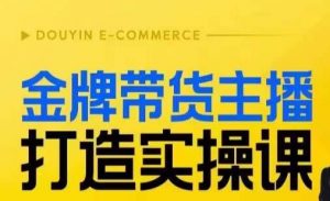 金牌带货主播打造实操课,直播间小公主丹丹老师告诉你,百万主播不可追,高效复制是王道!-88共享