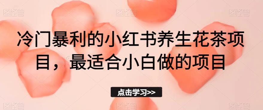 冷门暴利的小红书养生花茶项目，最适合小白做的项目【揭秘】-88共享