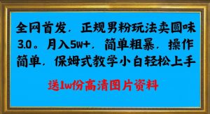 全网首发正规男粉玩法卖圆味3.0，月入5W+，简单粗暴，操作简单，保姆式教学，小白轻松上手-88共享