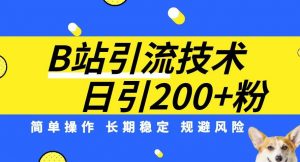 B站引流技术：每天引流200精准粉，简单操作，长期稳定，规避风险-88共享