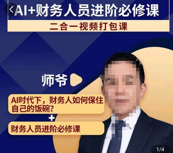 AI+财务人员进阶必修课二合一视频打包课，财务人员进阶必修课-88共享