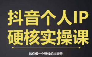 个人IP创富系统实战课，商业定位，流量打造，短视频变现，教你做个赚钱的抖音号-88共享