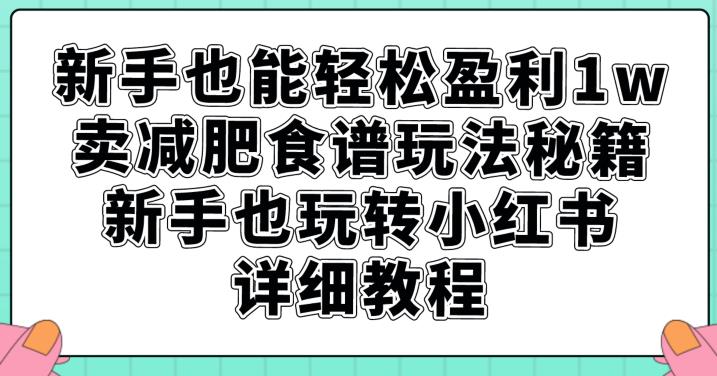 新手也能轻松盈利1w，卖减肥食谱玩法秘籍，新手也玩转小红书详细教程【揭秘】-88共享