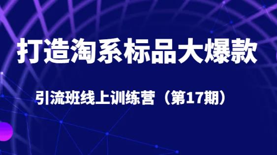 打造淘系标品大爆款引流班线上训练营（第17期）5天直播授课-88共享