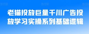 老猫投放巨量千川广告投放学习实操系列基础逻辑-88共享