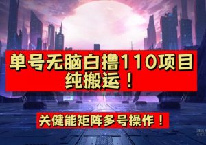 9月全网首发，单号直接白撸110！可多号操作，无脑搬运复制粘贴【揭秘】-88共享