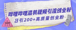哔哩哔哩B站混剪视频引流创业粉日引300+-88共享