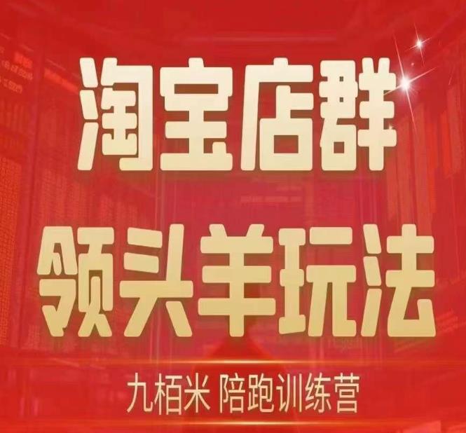 九栢米-淘宝店群领头羊玩法，教你整个淘宝店群领头羊玩法以及精细化/终极蓝海/尾销等内容-88共享