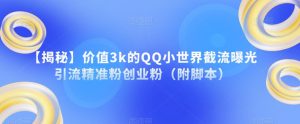 【揭秘】价值3k的QQ小世界截流曝光引流精准粉创业粉（附脚本）-88共享