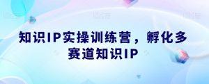 知识IP实操训练营，​孵化多赛道知识IP-88共享