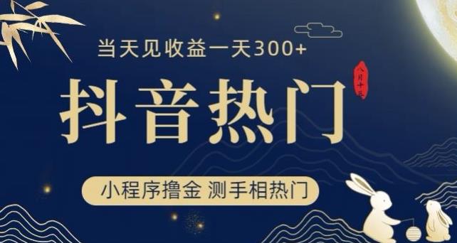 抖音最新小程序撸金，测手相上热门，当天见收益一小时变现300+【揭秘】-88共享