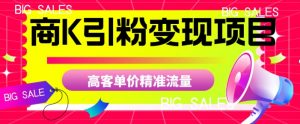 商K引粉变现项目，高客单价精准流量【揭秘】-88共享