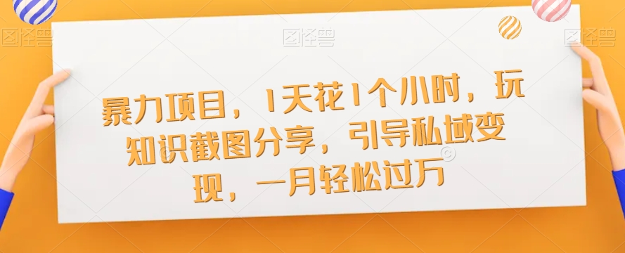 暴力项目，1天花1个小时，玩知识截图分享，引导私域变现，一月轻松过万【截图】-88共享