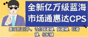 全新亿万级蓝海市场通惠达cps,最强管道收入,让你睡着赚、躺着赚、玩着赚、轻松赚【揭秘】-88共享