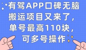 有驾APP口碑无脑搬运项目又来了，单号最高110块，可多号操作-88共享