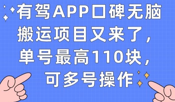 有驾APP口碑无脑搬运项目又来了，单号最高110块，可多号操作-88共享