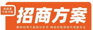 王昕招商方案,解构招商方案意识形态,精准把握渠道代理基本法-88共享