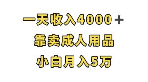 一天收入4000+,靠卖成人用品,小白轻松月入5万【揭秘】-88共享