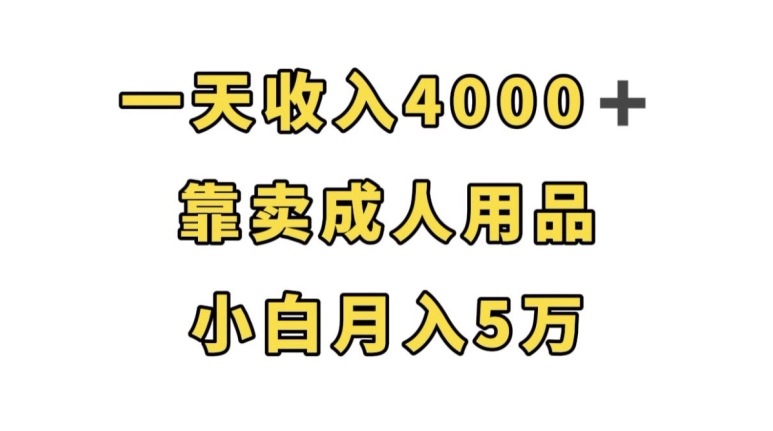 一天收入4000+，靠卖成人用品，小白轻松月入5万【揭秘】-88共享