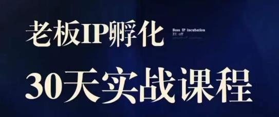 诸葛·2023老板IP实战课，实体同城引流获客，IP孵化必听-88共享