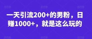 一天引流200+的男粉,日赚1000+,就是这么玩的【揭秘】-88共享