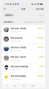 卖古籍电子书,作品只需要简单的图片去重,高客单价高利润,月入五位轻轻松松-88共享