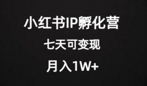 价值2000+的小红书IP孵化营项目，超级大蓝海，七天即可开始变现，稳定月入1W+-88共享
