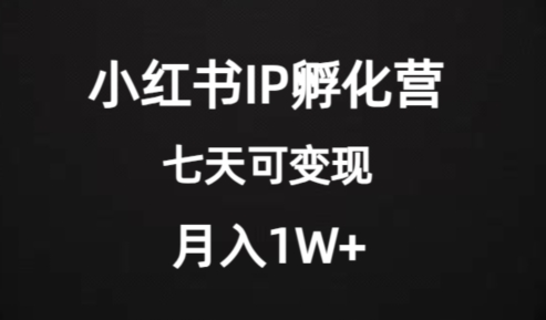 价值2000+的小红书IP孵化营项目，超级大蓝海，七天即可开始变现，稳定月入1W+-88共享