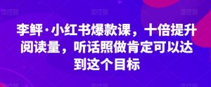 李鲆·小红书爆款课，十倍提升阅读量，听话照做肯定可以达到这个目标-88共享
