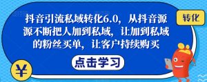 抖音引流私域转化6.0,从抖音源源不断把人加到私域,让加到私域的粉丝买单,让客户持续购买-88共享