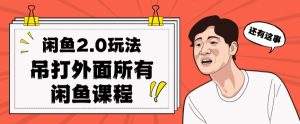 闲鱼2.0玩法单号每天日入2000，吊打市面所有课程-88共享