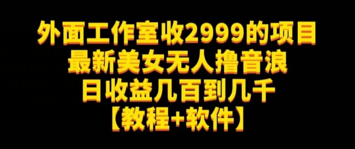 外面工作室收2999的项目最新美女无人撸音浪日收益几百到几千【教程+软件】（仅揭秘）-88共享