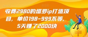 收费2980的塔罗ip打造项目,单价198-999不等,5天赚了2000块【揭秘】-88共享