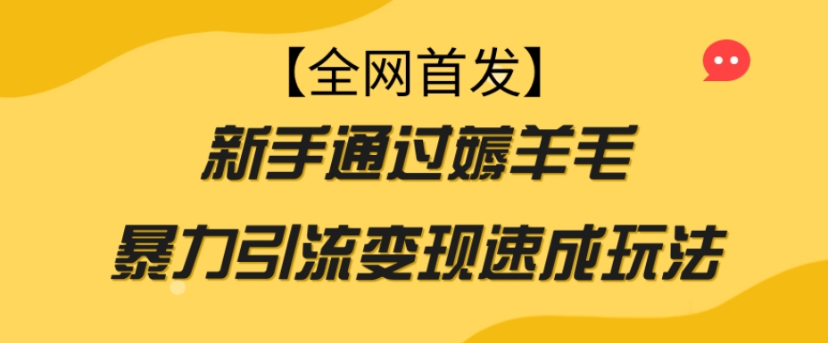 【全网首发】新手通过薅羊毛暴力引流变现速成玩法-88共享