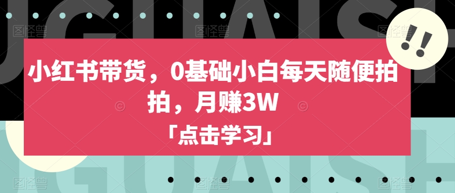 小红书带货，0基础小白每天随便拍拍，月赚3W【揭秘】-88共享