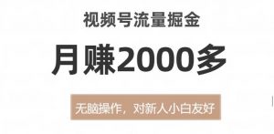 视频号流量掘金，无脑操作，对新人小白友好，月赚2000多【揭秘】-88共享