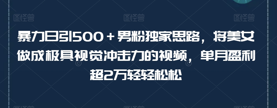 暴力日引500＋男粉独家思路，将美女做成极具视觉冲击力的视频，单月盈利超2万轻轻松松-88共享