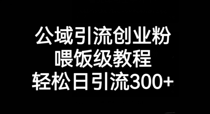 公域引流创业粉，喂饭级教程，轻松日引流300+【揭秘】-88共享