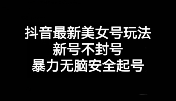 抖音最新美女号玩法，新号不封号，暴力无脑安全起号【揭秘】-88共享