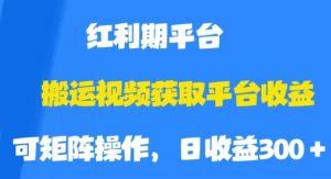搬运视频获取平台收益，平台红利期，附保姆级教程【揭秘】-88共享