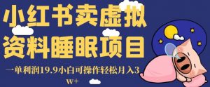 小红书卖虚拟资料睡眠项目,一单利润19.9小白可操作轻松月入3w+【揭秘】-88共享