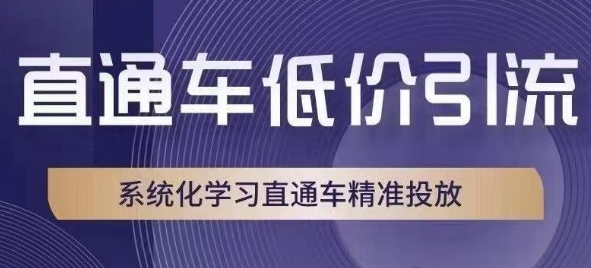 直通车低价引流课，系统化学习直通车精准投放-88共享