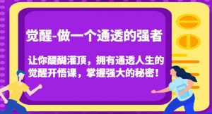 觉醒-做一个通透的强者,让你醍醐灌顶,拥有通透人生的觉醒开悟课,掌握强大的秘密!-88共享