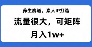 养生赛道，素人IP打造，流量很大，可矩阵，月入1w+【揭秘】-88共享